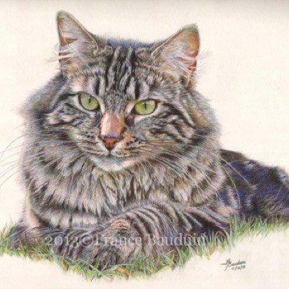 Griffin adult
Cream Cartridge Paper
12" x 16"
Laila's 2nd litter Griffin adult
Cream Cartridge Paper
12" x 16"
Laila's 2nd litter